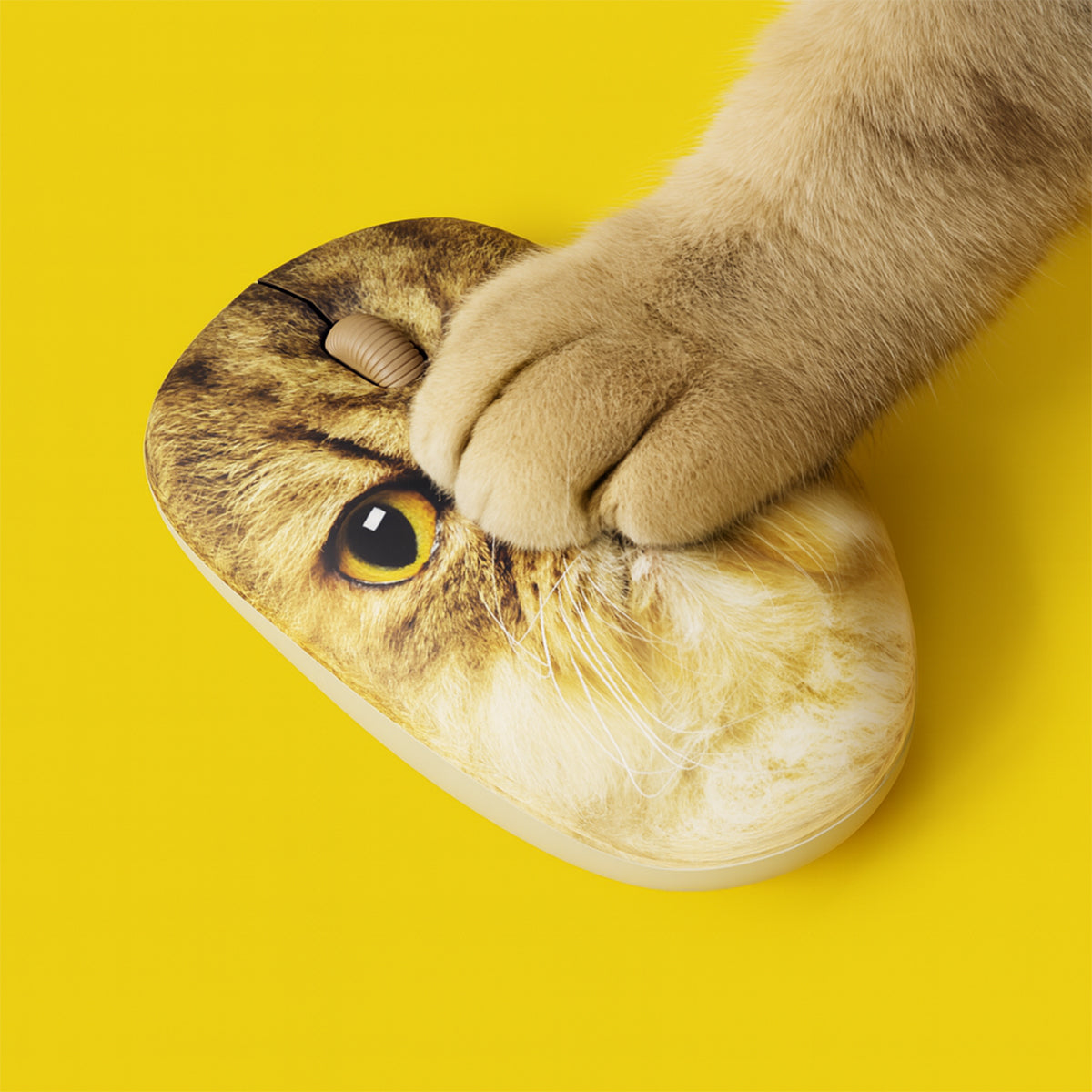 Mr Whiskers Cat Mouse