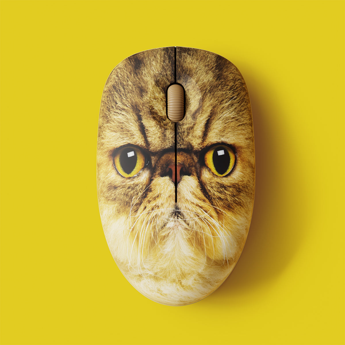 Mr Whiskers Cat Mouse