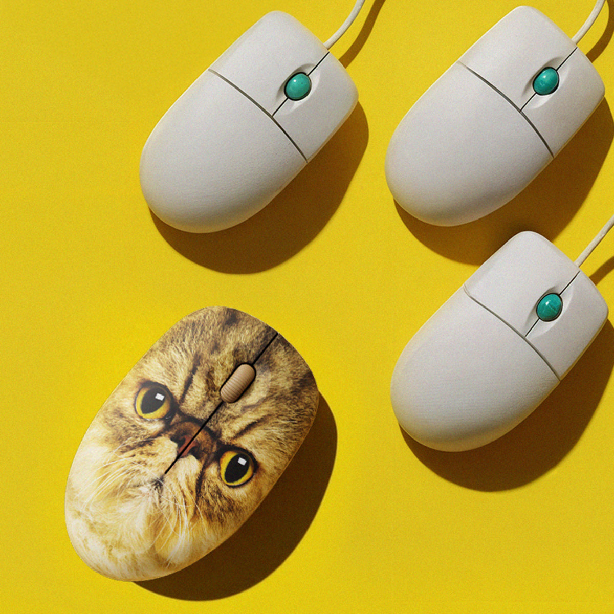Mr Whiskers Cat Mouse