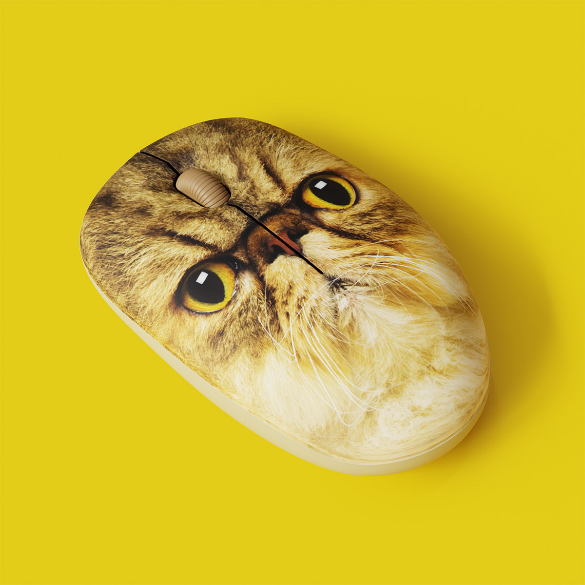 Mr Whiskers Cat Mouse