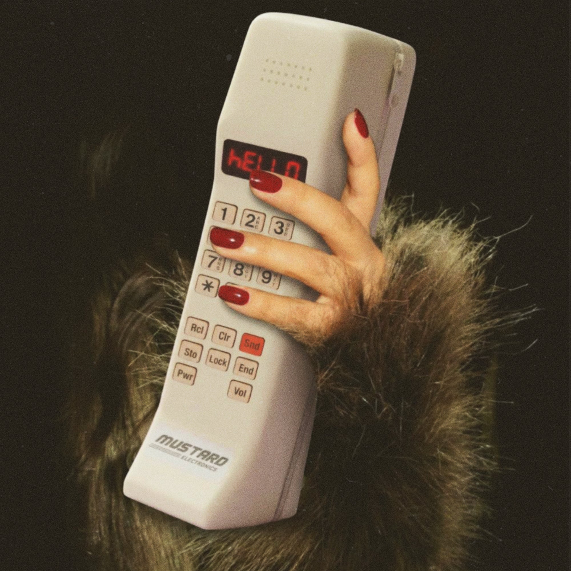 The 80'S Hotline Case