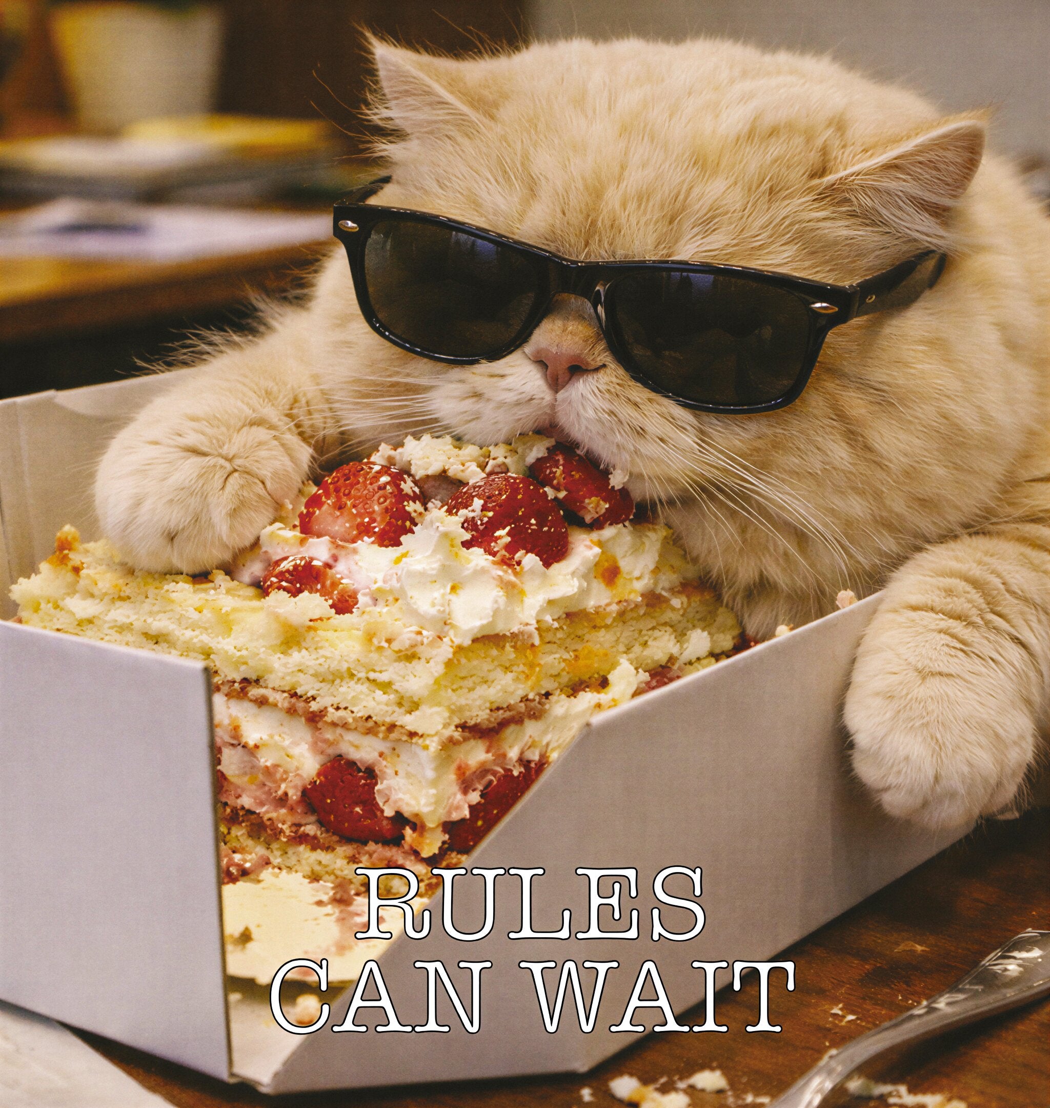 Be More Cat - Peak Performance. Minimal Effort