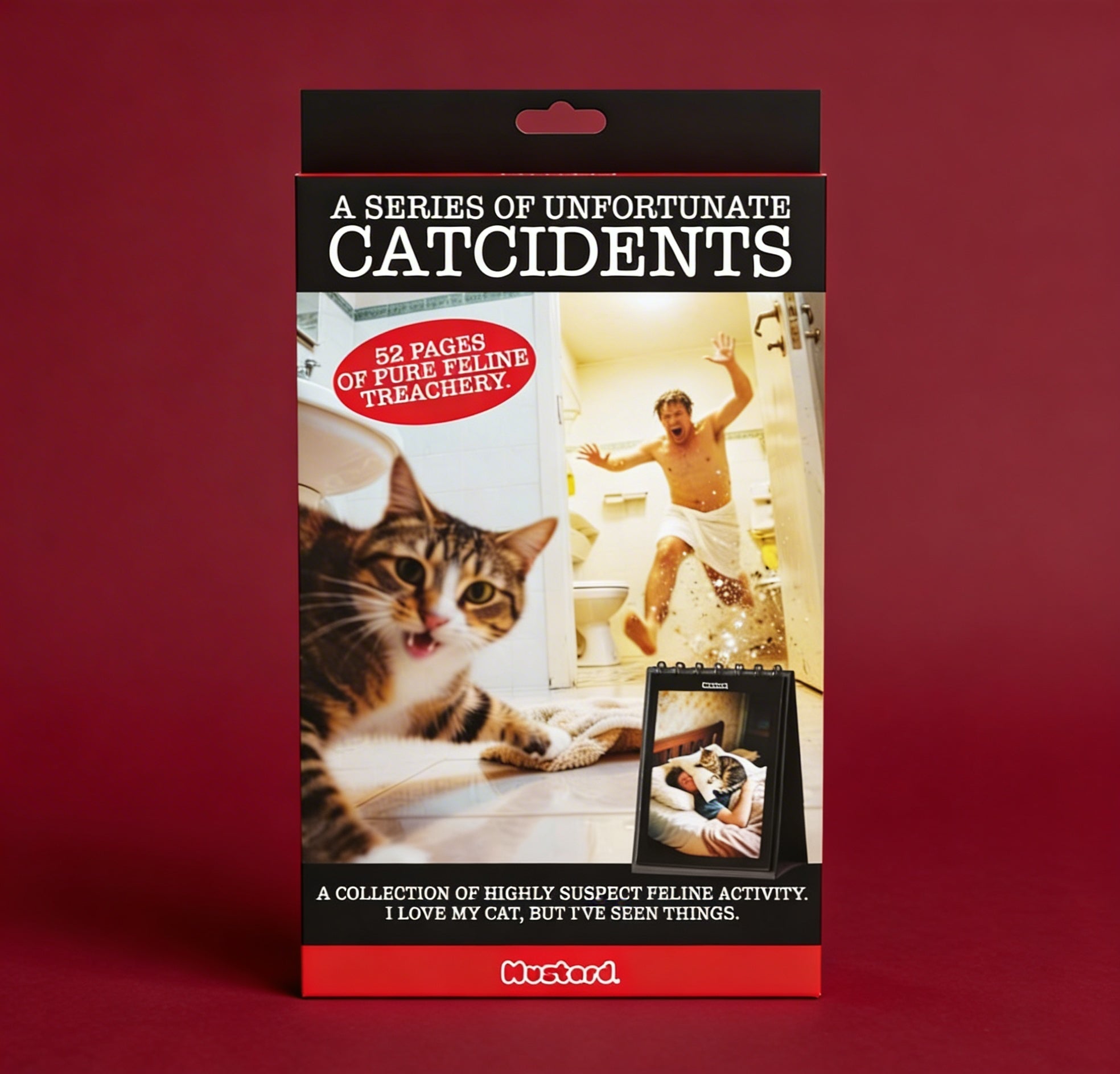 A Series of Unfortunate Catcidents