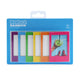 Bold Rainbow Magnetic Frames