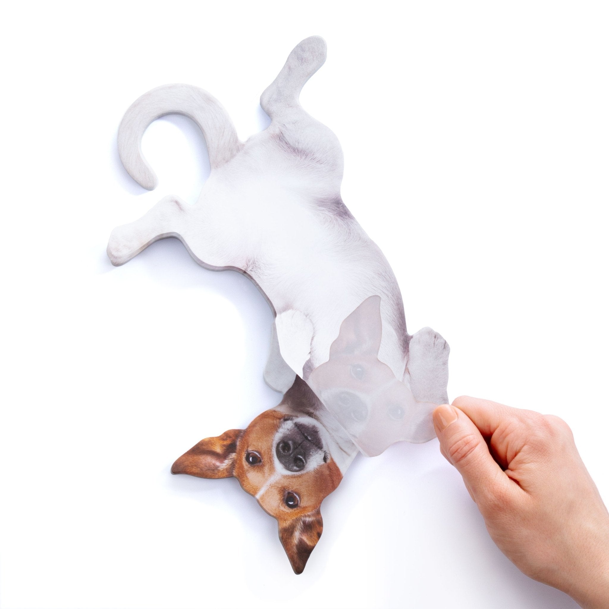 Sticky Note - Mustard London