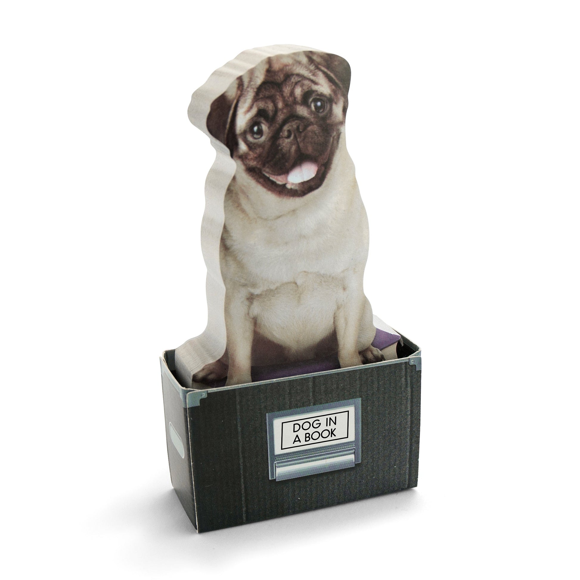 Sticky Note - Mustard London